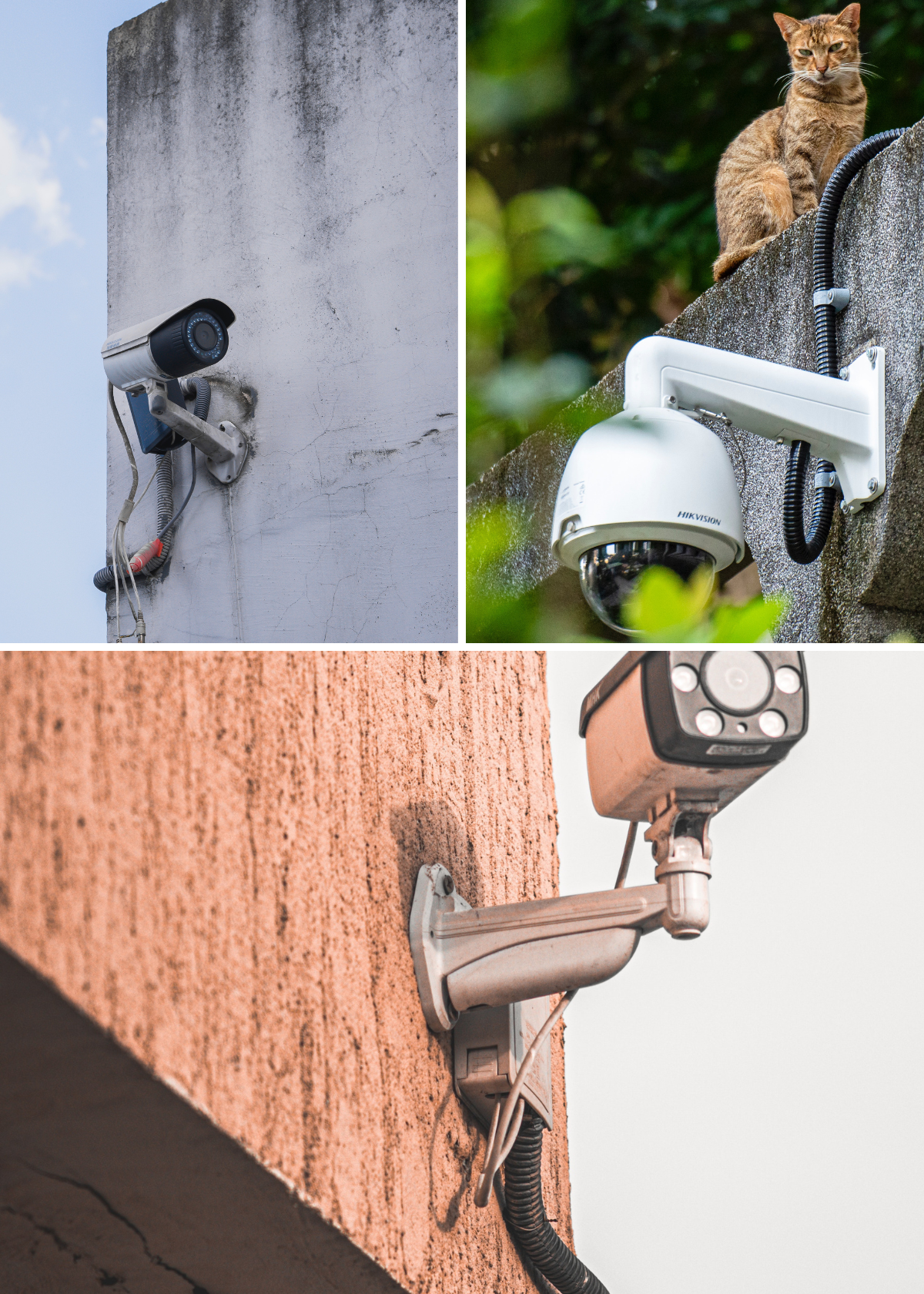 What is the use of IoT camera?Exploring the Vast Applications and Benefits of IoT Cameras!