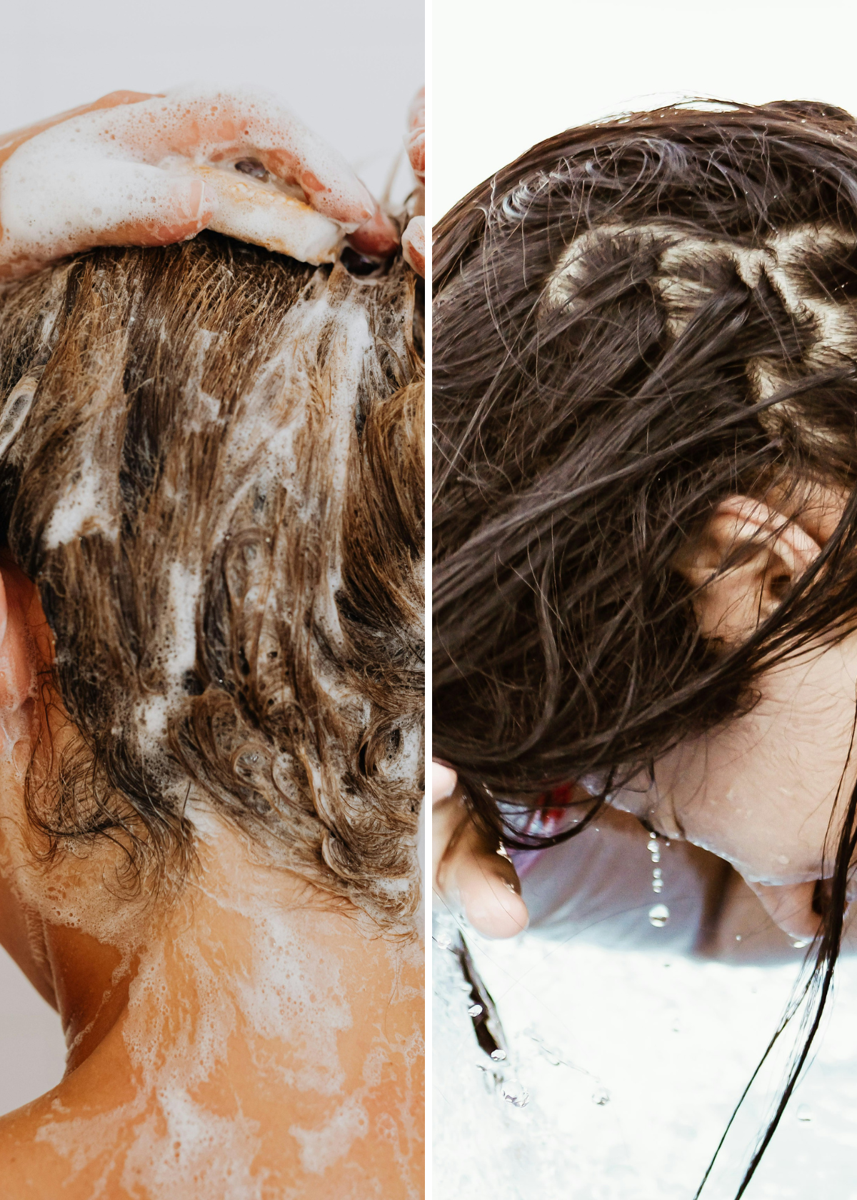 Is Rosemary Shampoo Good for Your Hair?